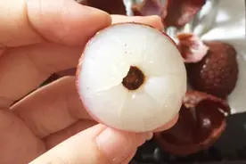 孕妇能吃荔枝吗？你真的清楚吗？视频封面