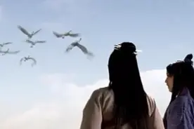 元始天尊出门坐的车，是用仙鹤拉的视频封面