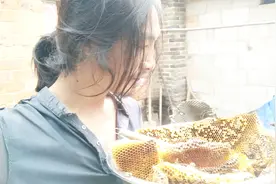 为什么真野生蜂蜜能卖150~300块一斤，看完视频你就知道了视频封面