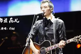 朴树一首《那些花儿》令众歌手争相翻唱，被无数人疯狂的迷恋视频封面