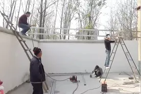 豫东农村小院 这样搭建车棚既省钱又牢固 老大爷看着挺满意视频封面