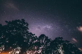 小说：浅水难出蛟龙，想要更高成就，就要前往资源更加丰富的地方图片