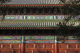 小说：少爷，我叫小竹，不是叫小猪图片