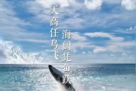 领袖用典｜天高任鸟飞，海阔凭鱼跃图片