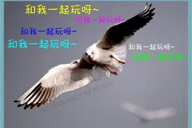 拯救周末！昆明周边初冬游玩攻略请收好图片