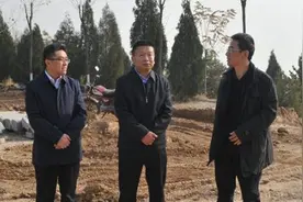 吕梁：汾阳市委书记武跃飞督查植树造林工作图片