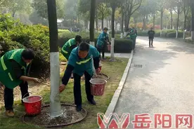 金鹗公园绿树安全过冬着白裙图片