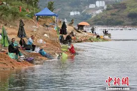 五百余名钓鱼爱好者垂钓贵州望谟红水河图片