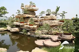 中国（临沂）花木博览城 着力打造国际花卉特色小镇图片