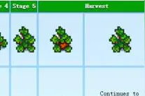 星露谷物语stardew valley草莓收益多少钱 草莓酿酒划算吗图片