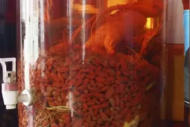 鹿茸人参枸杞泡酒的做法图片