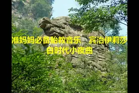 准妈妈必备胎教音乐 宾治伊莉莎白时代小夜曲视频封面