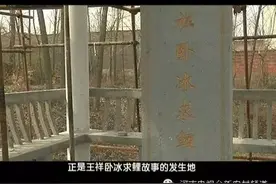 “卧冰求鲤”的王祥是咱河南人｜这里是河南·遂平映象（二）图片
