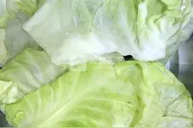 翡翠肉白菜图片