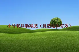 小号餐具助减肥（竟然这么有效）视频封面