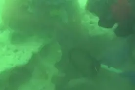 男子潜水抓鱼，想不到在海底竟找到了巨额财富！图片