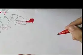 DNA结构 携带人体遗传密码的DNA究竟是什么？视频封面