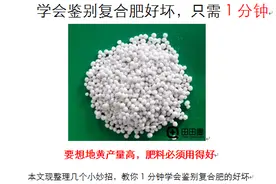 学会鉴别复合肥好坏，只需1分钟图片