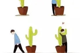 拥抱仙人掌是一种什么感觉？图片