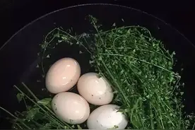 黄陂味道 | 三月三，糊风筝，煮鸡蛋图片