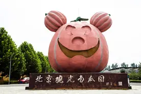 北京南瓜也观光，好玩好玩的地方图片
