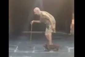 老爷爷缓慢行走，腊肠狗贴心陪着主人不超车，超级暖心！图片