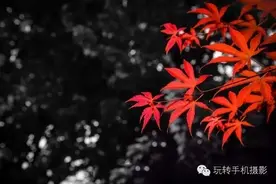 2种提升美感的局部色彩修图方法，掌握1种你就是后期达人图片