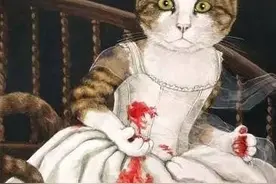 如果世界是猫的图片