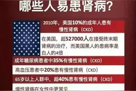 1图认识肾脏图片