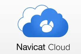 程序员Navicat“撩妹”技巧图片