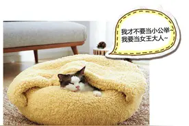看看这些小宠物，简直萌的心都化了~图片
