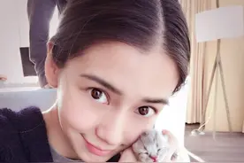 女神Angelababy家的小猫，萌翻了图片