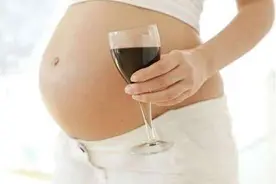 孕期喝酒宝宝醉9年  你还在喝酒吗？图片