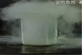 惊！金鱼起死回生？图片