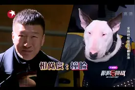 颜王孙红雷撞脸汪星人  笑翻黄渤图片