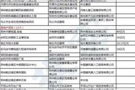 总额5614亿元 河南省住建厅推787个项目图片