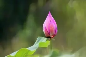 幸福，只是一种心态图片