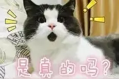 襄阳樱桃熟了！最全采摘路线，快收好！图片