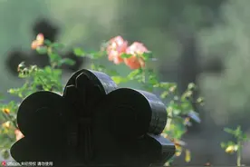 15万元！1平米墓地价格堪比内环2平米房间，死不起~图片