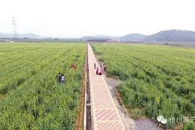 广西梧州市花香乐园景区游客涌动图片
