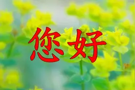 李佳薇超走心演唱《煎熬》