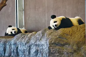 和歌山白滨，休闲极乐世界图片