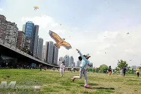 又是三月三 风筝飞满天图片