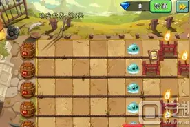 植物大战僵尸2中文版功夫世界第6关通关攻略图片
