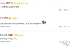 张大妈表情包导入微信攻略图片