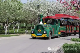 石家庄赏花攻略：春天的植物园简直美爆了！图片