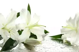 陇南人的“后事”要花多少钱？百年之后我们将魂归何处？图片