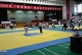 好身手!省跆拳道锦标赛绵阳小将斩获7金图片