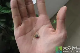掏耳屎的正确姿势图片