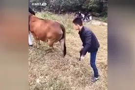 告诉你什么是真正的吹牛逼，到底谁是推我的，给我滚出来视频封面